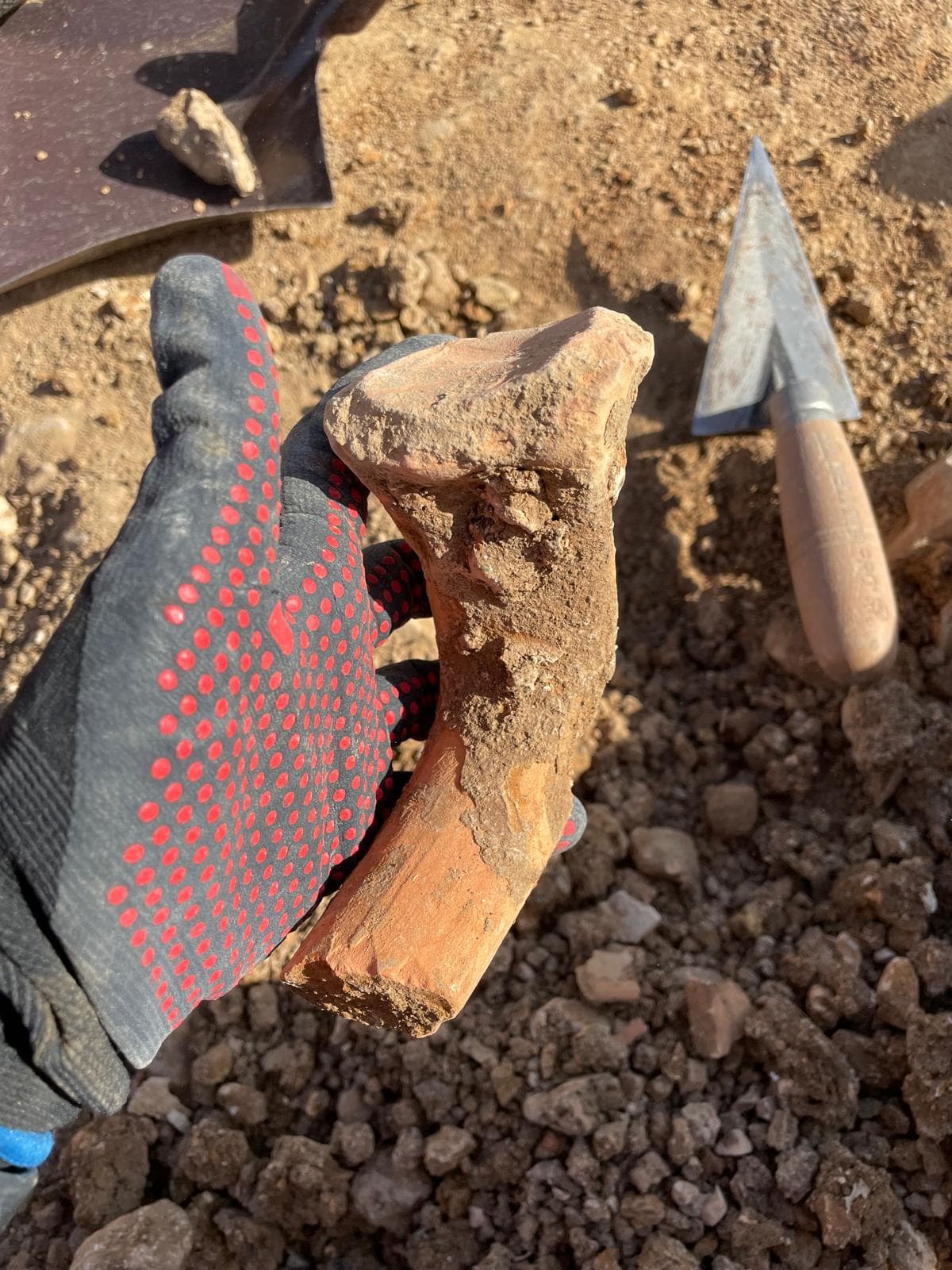 Mano enguantada sostiene un fragmento curvo de cerámica antigua en un sitio de excavación arqueológica.